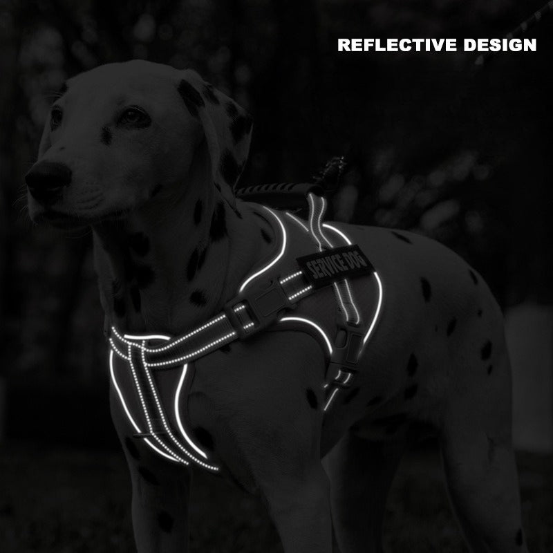 Reflective Harness & Leash Set
