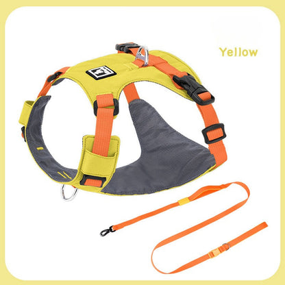 Lightweight Harness & Leash Set