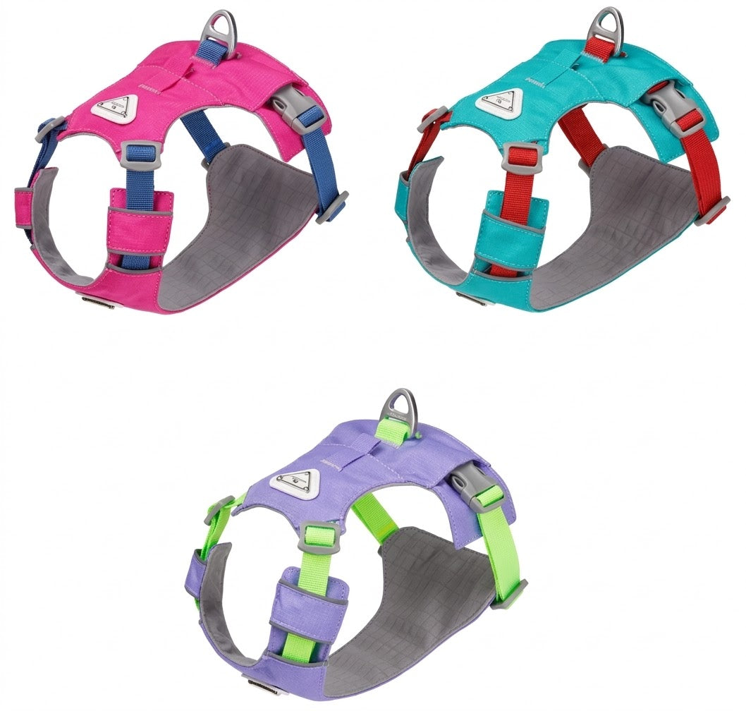 Lightweight Breathable Harness & Leash Set