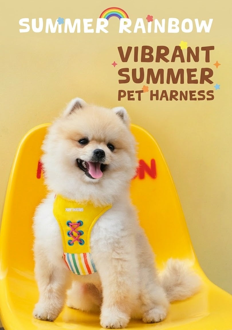 Rainbow Waterproof Dog Harness
