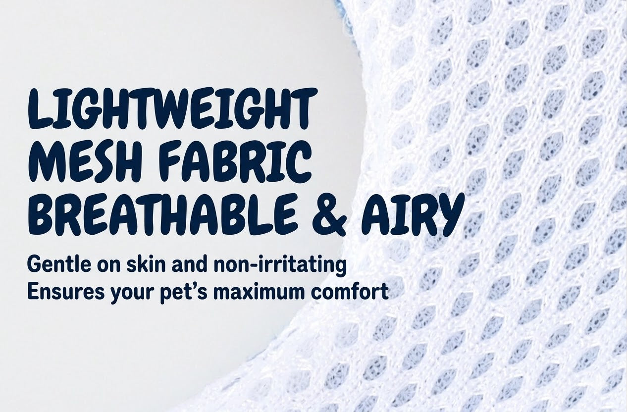 Denim & Gingham Harness & Leash Set