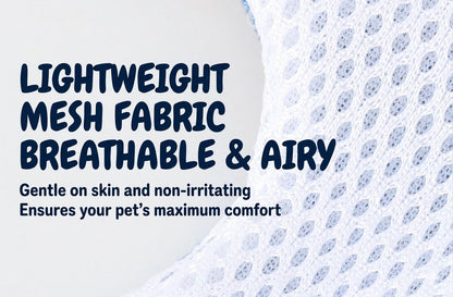 Denim & Gingham Harness & Leash Set
