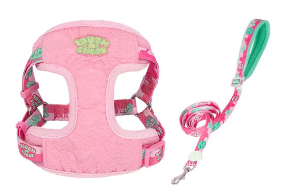 Sugar Series Harness & Leash Set