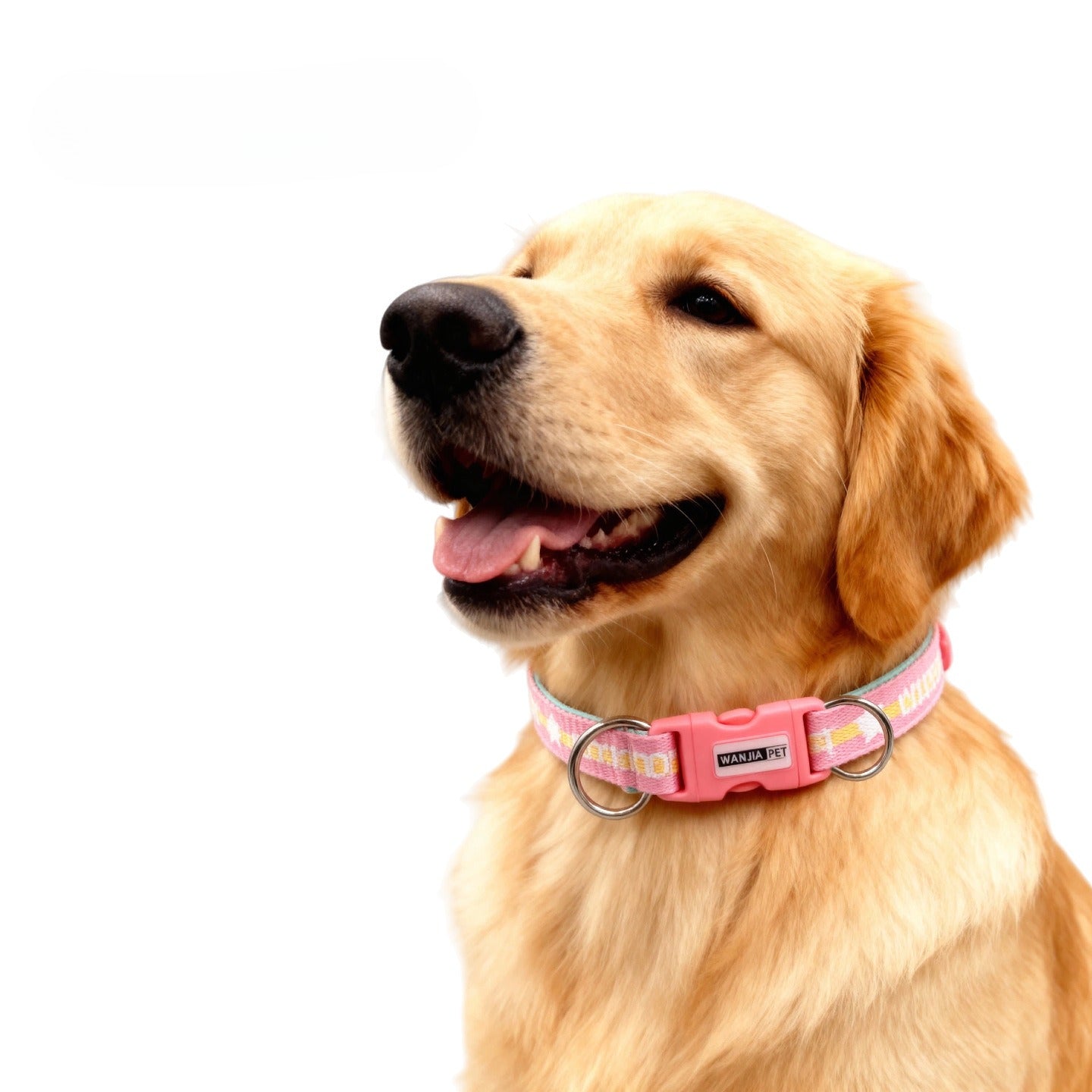 Star Pattern Dog Collar for Dogs – Blue
