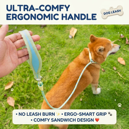 Integrated Anti-Pull Reflective Dog Leash