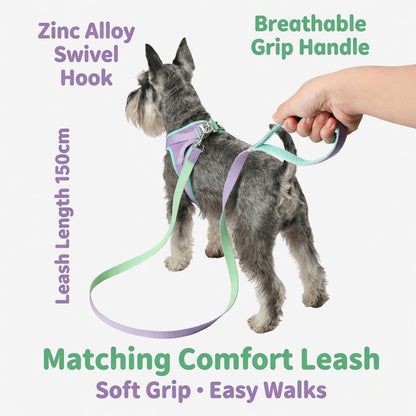 Lace Mesh Harness & Leash Set