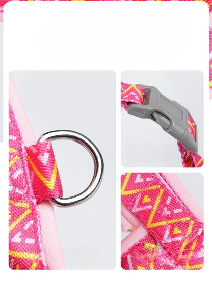 Geometric Reflective Harness & Leash Set