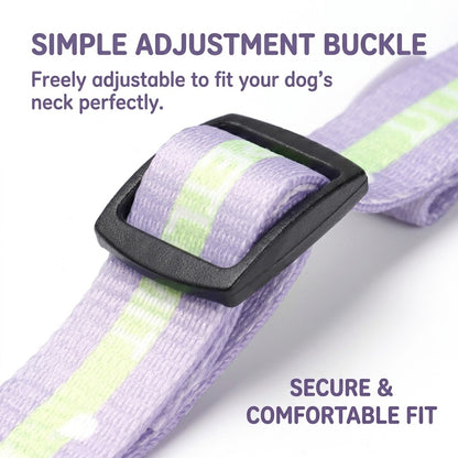 Soft Mesh Collar & Leash Set