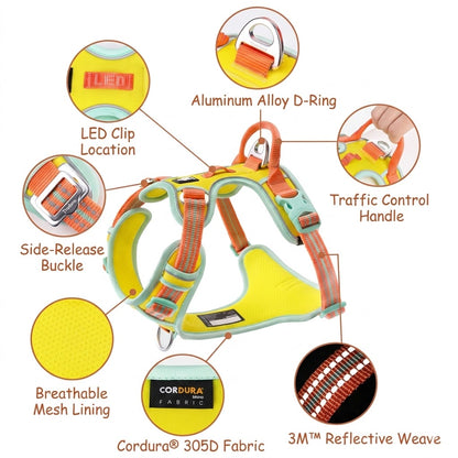 Reflective No-Pull Harness & Leash Set