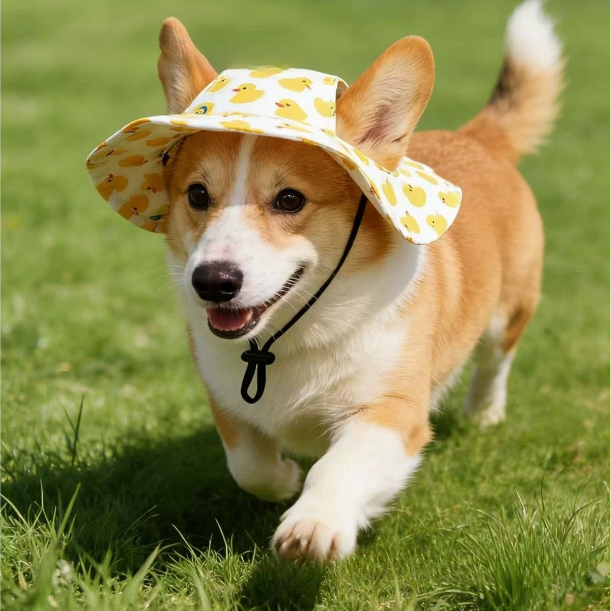 Duck Print Dog Hat – Yellow