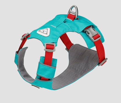 Lightweight Breathable Matching Dog Set