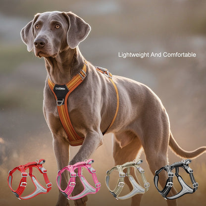 Reflective No-Pull Harness & Leash Set