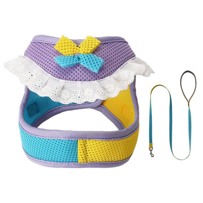 Lace Mesh Harness & Leash Set