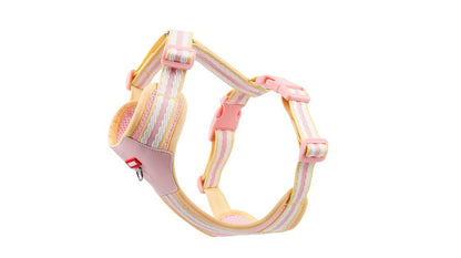 Breathable Mesh Harness & Leash Set