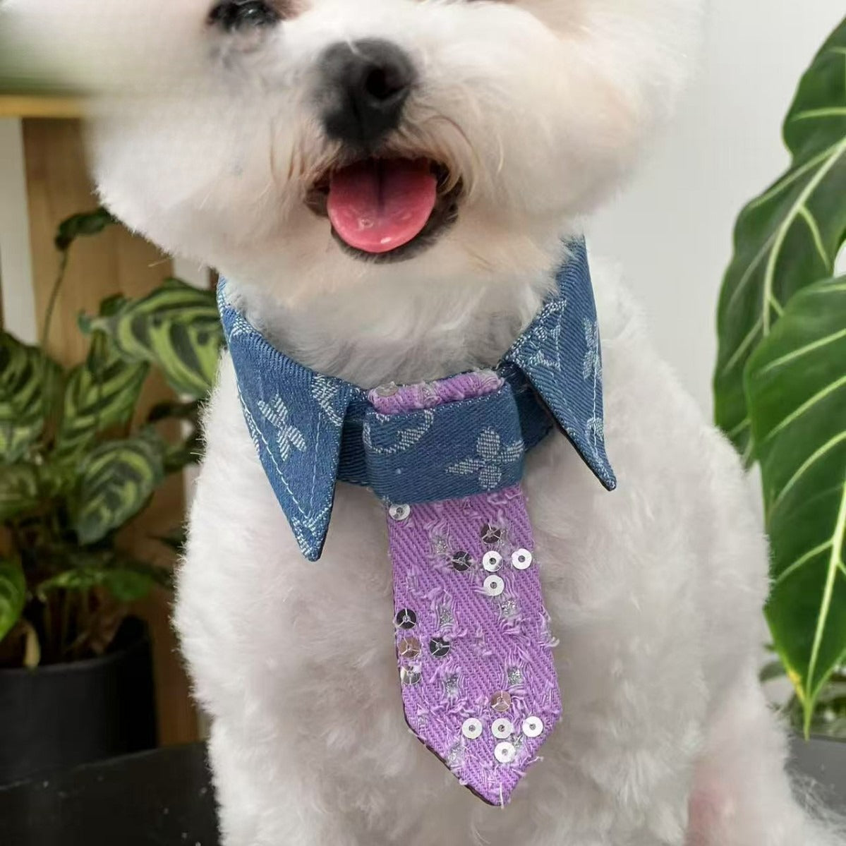 Sequin Denim Dog Bow Tie for Dogs – Multi