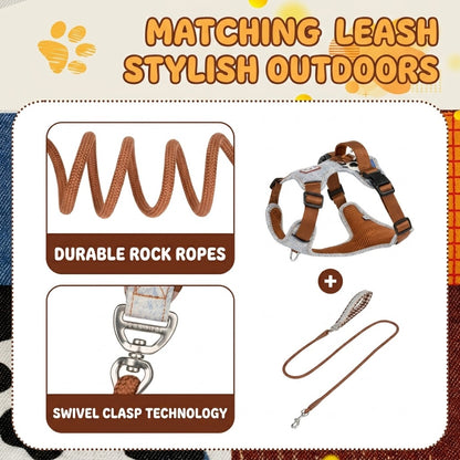 Reflective Patchwork Harness & Leash Set