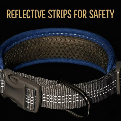 Reflective Padded Collar & Leash Set