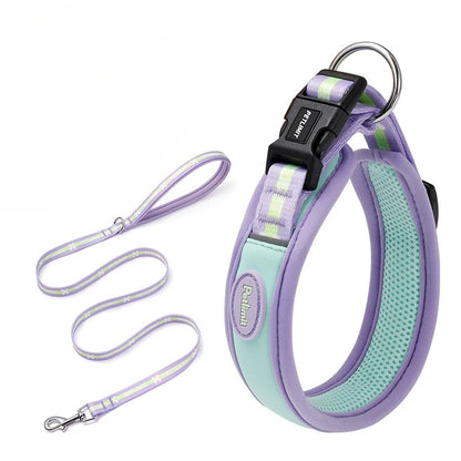 Soft Mesh Collar & Leash Set