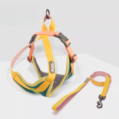 Cooling Mesh Harness & Leash Set