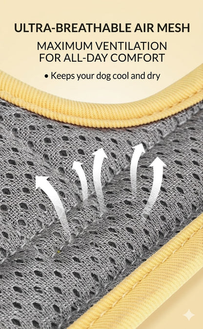 Checkerboard Reflective Dog Harness