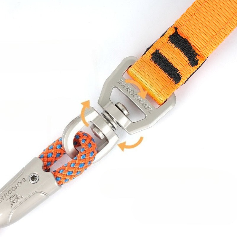 Braided Training Leash for Dogs – Multi