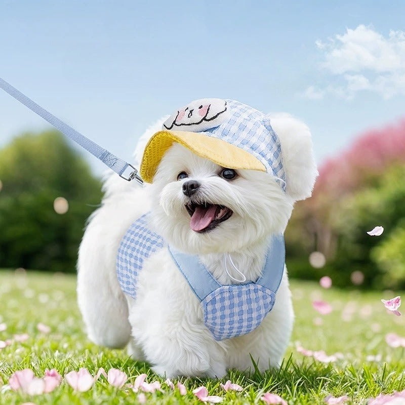 Gingham Harness, Leash & Hat Set