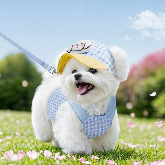 Gingham Harness, Leash & Hat Set