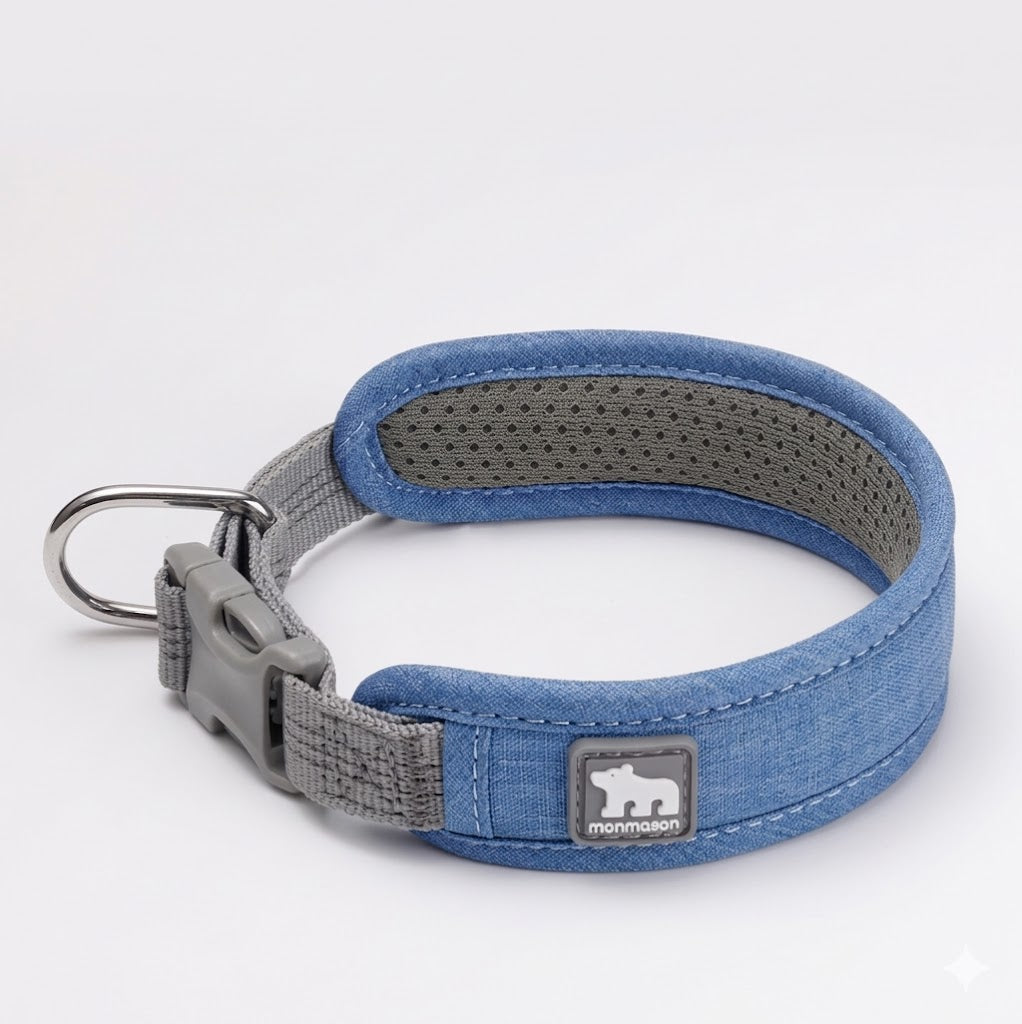 Reflective Padded Collar & Leash Set