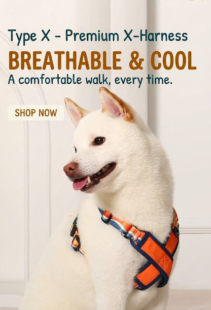 X-Shaped Breathable Harness & Leash Set