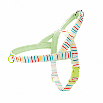 Patterned Harness & Leash Set
