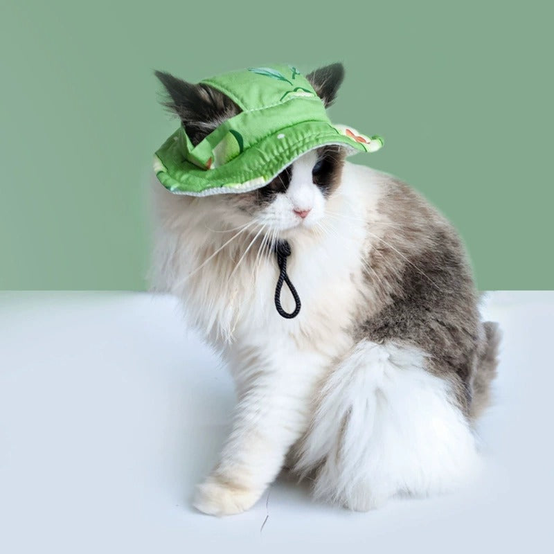 Fruit Pattern Dog Hat