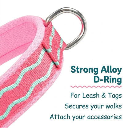 Foam Handle Harness & Leash Set