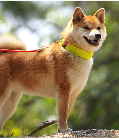Reflective Cordura Dog Collar