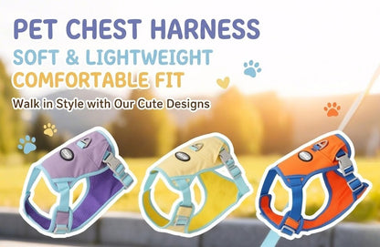 Lightweight Mesh Harness & Leash Set