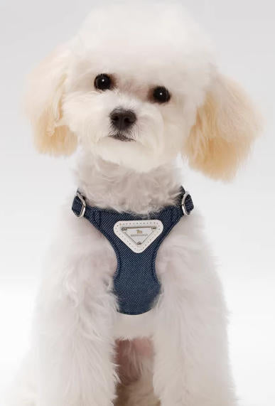 Denim Harness & Leash Set