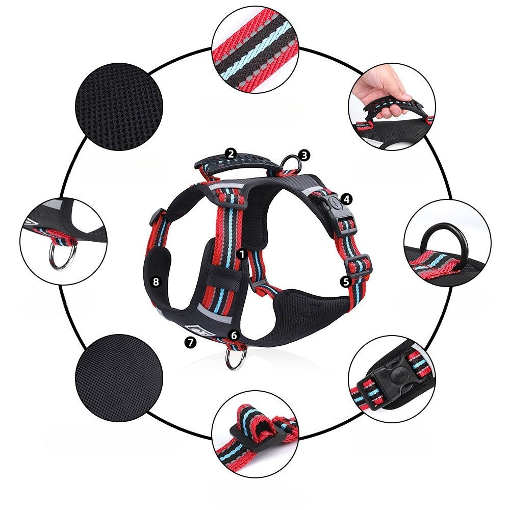 Reflective Harness & Leash Set