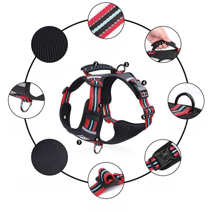 Reflective Harness & Leash Set