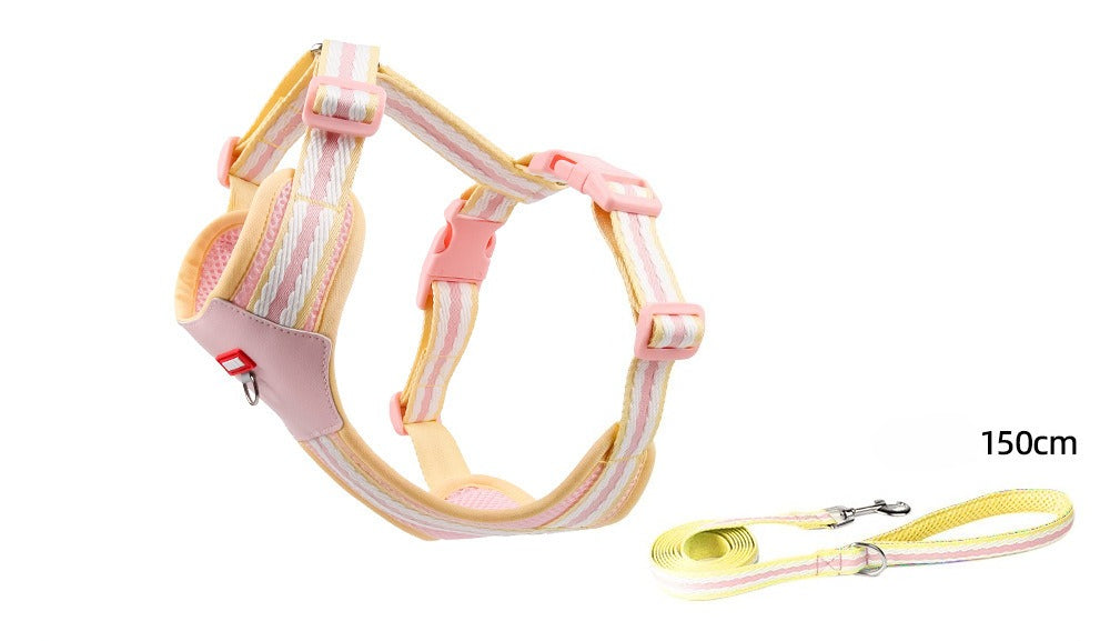 Breathable Mesh Harness & Leash Set
