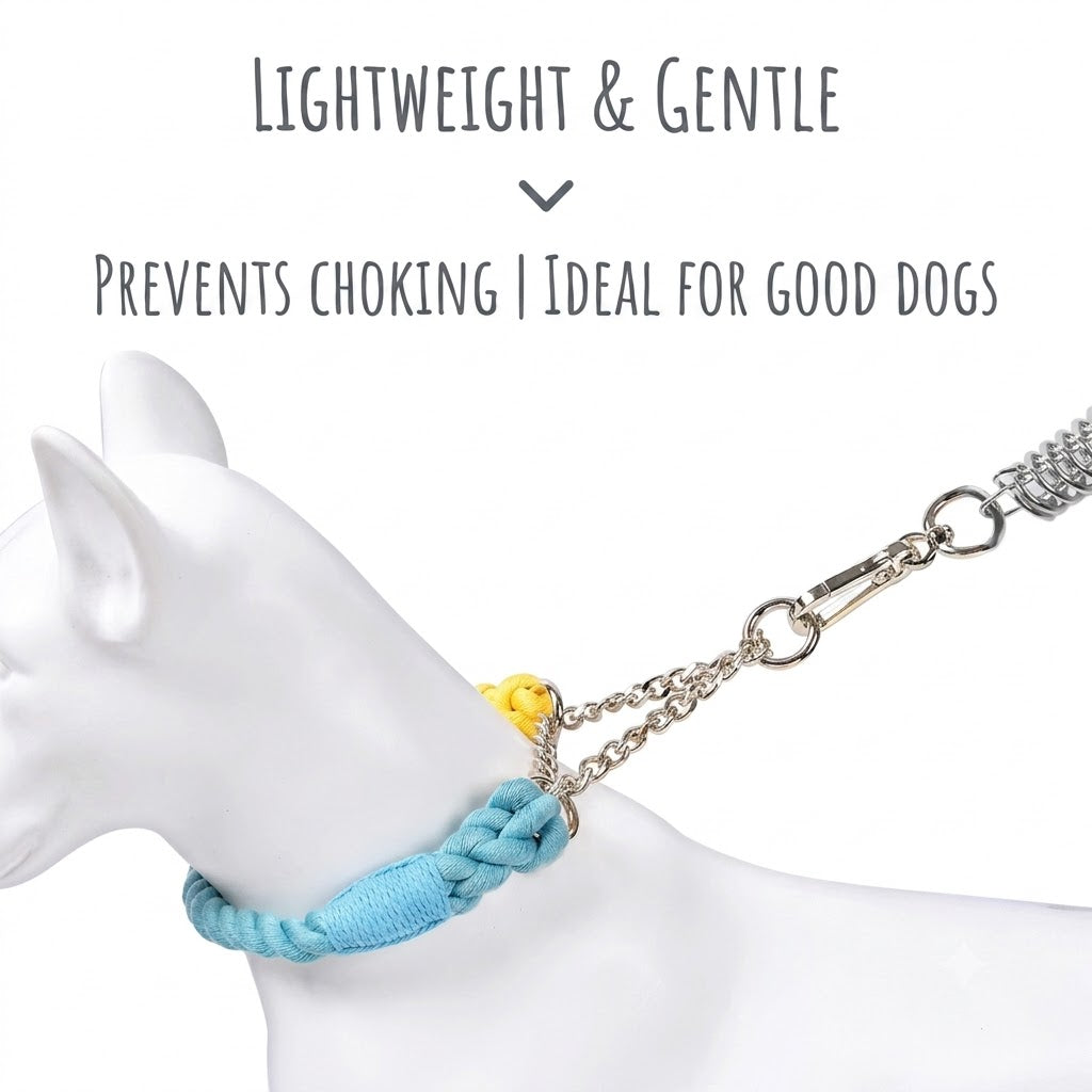 Braided Rope Collar & Leash Set