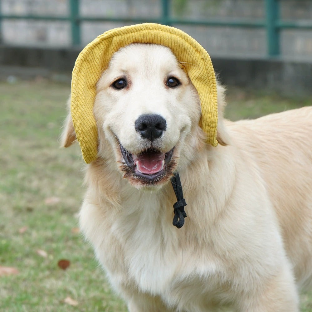 Corduroy Dog Hat