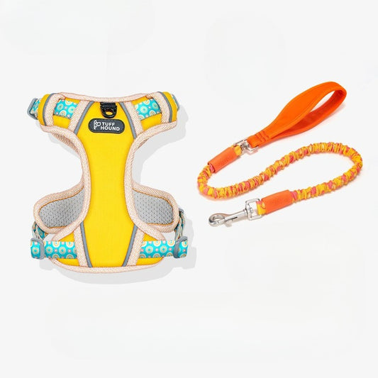Reflective Mesh Harness & Leash Set