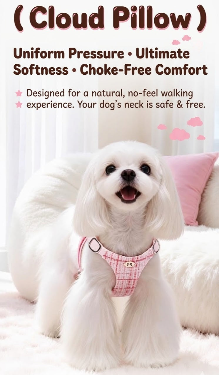 Plaid Harness & Leash Set