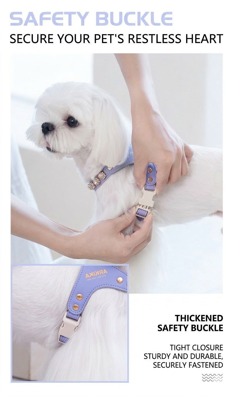 Sparkle Rhinestone Harness & Leash Set