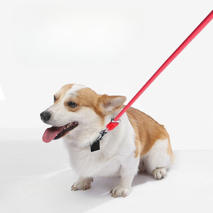 Hands-Free Multi-Functional Dog Leash