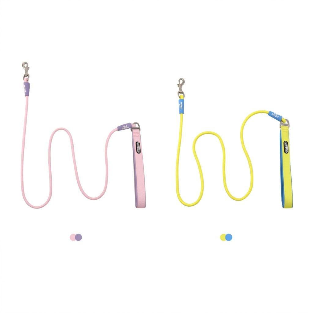 Geometric Color-Block Dog Leash