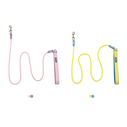 Geometric Color-Block Dog Leash