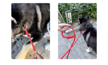 Hands-Free Multi-Functional Dog Leash