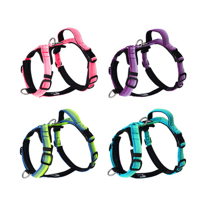 Gradient Harness & Leash Set