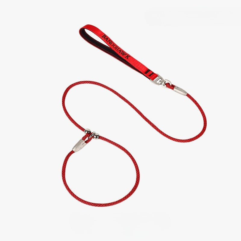 Braided Training Leash for Dogs – Multi