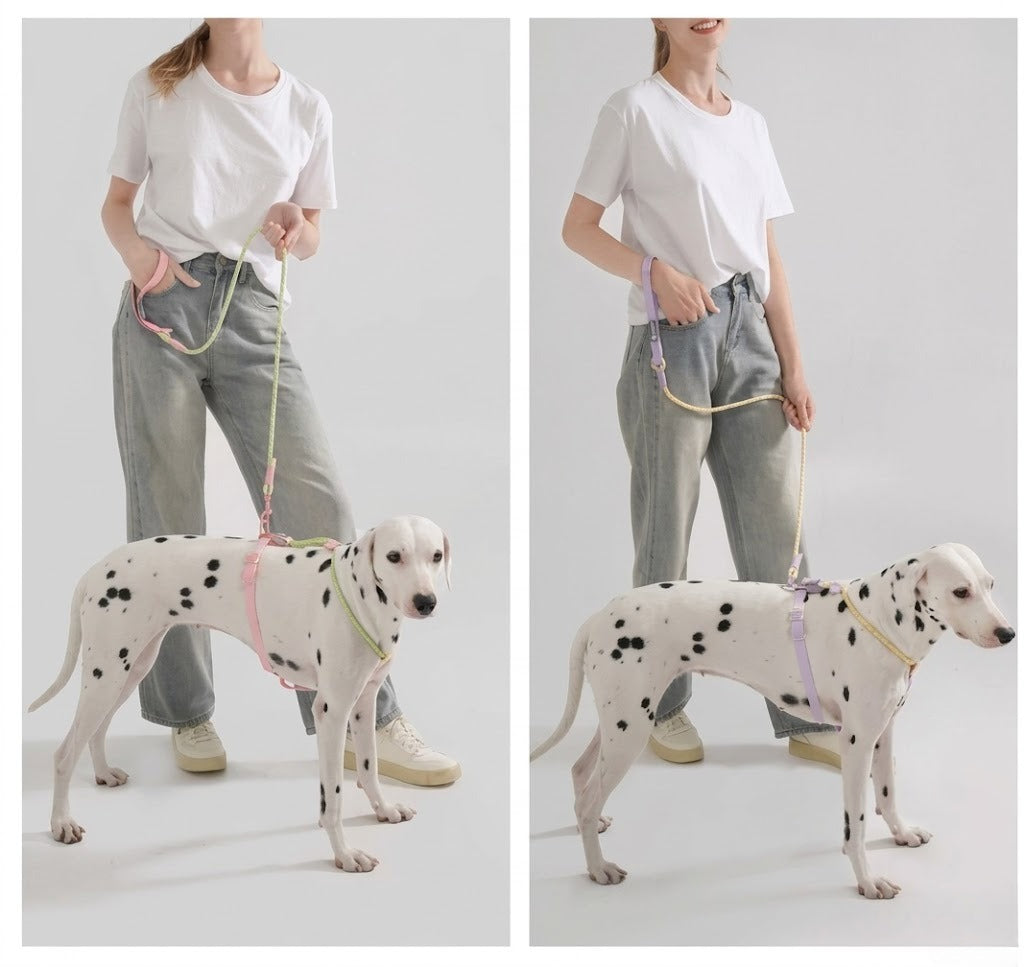 Reflective Round Rope Dog Leash
